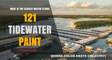 Finding the Perfect Match: Tidewater Paint's MSL 121 Alternative