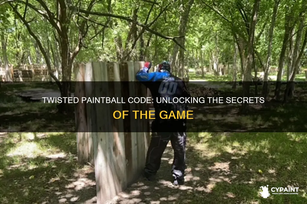 what is the code for twisted paint ball