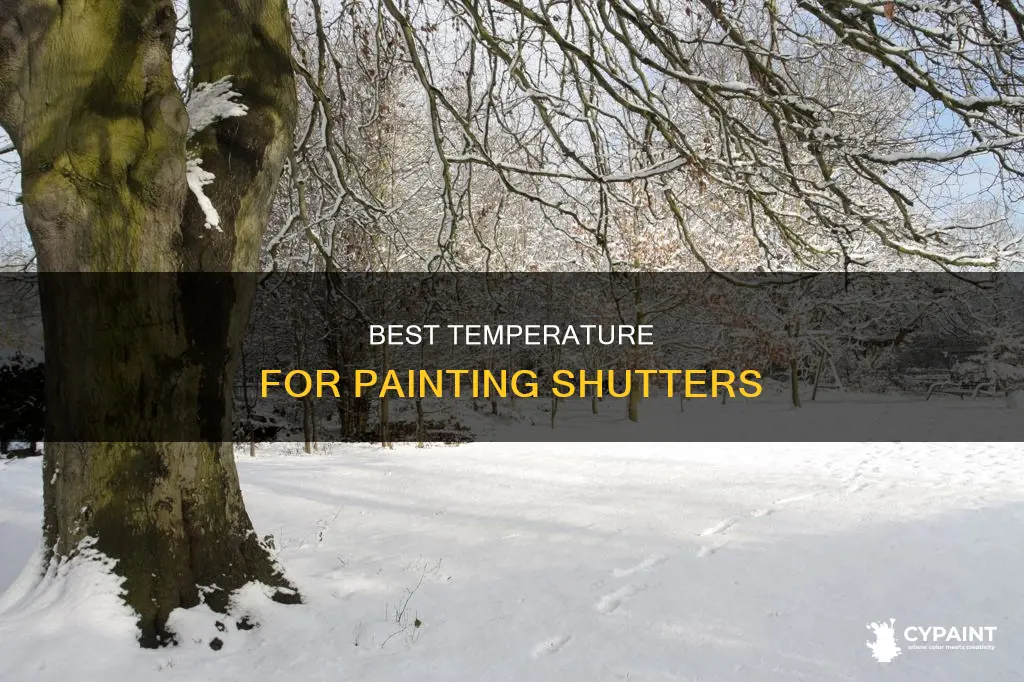 what is the coldest weather i can paint shutters