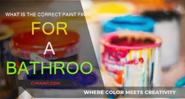 Choosing the Right Paint Finish for Your Bathroom