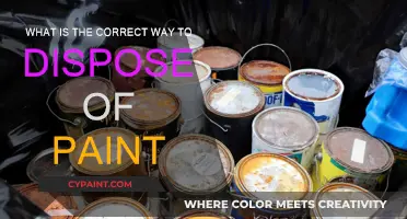 Dispose of Paint: The Right Way