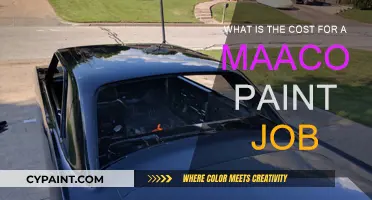 Maaco Paint Job: How Much Does It Cost?