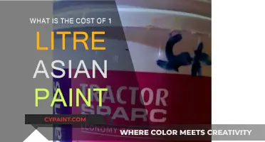 Asian Paints: How Much Does One Litre Cost?
