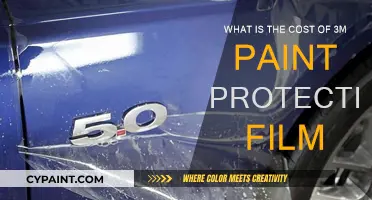 Cost of 3M Paint Protection Film: Is It Worth It?