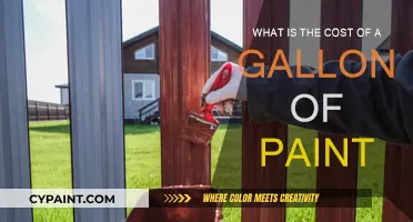 How Much Does a Gallon of Paint Cost?