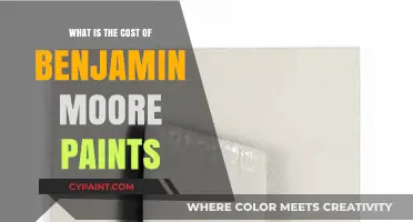 Benjamin Moore Paints: Understanding the Cost and Value for Your Home