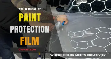 Paint Protection Film Cost: What to Expect for Your Vehicle