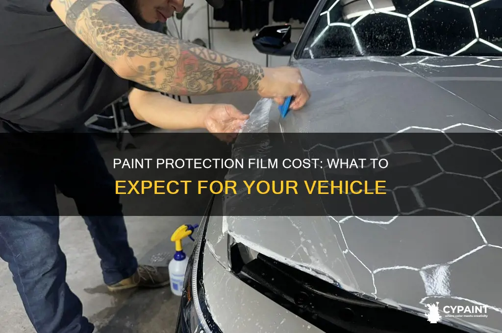 what is the cost of paint protection film