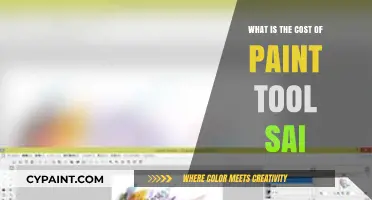 Understanding Paint Tool SAI: Pricing, Features, and Value for Artists