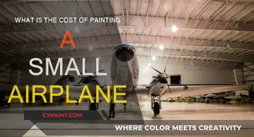 Small Airplane Painting: How Much Does It Cost?