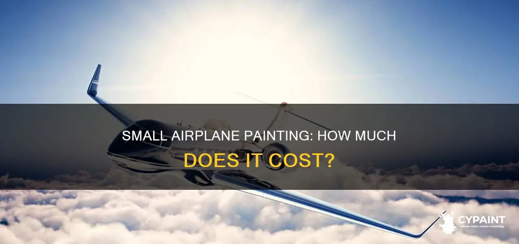 what is the cost of painting a small airplane
