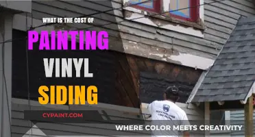Painting Vinyl Siding: Understanding the Cost and Budgeting Tips
