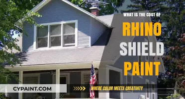 Rhino Shield Paint Cost: Pricing, Factors, and Value Explained