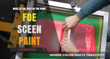 Exploring the Expenses: Screen Paint Costs Unveiled