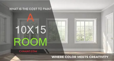 Painting a Medium-Sized Room: Cost and Considerations