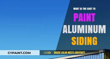 How Much Does Painting Aluminum Siding Cost? A Complete Guide