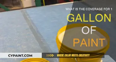 Paint Coverage: How Far Does 1 Gallon Go?