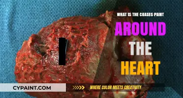 Understanding Pericarditis: Causes of Inflammation and Paint Around the Heart