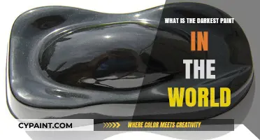 Exploring the Darkest Paint: Unveiling the World's Blackest Creation