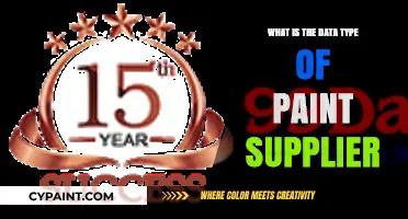 Understanding Paint Supplier Data Types: A Comprehensive Guide
