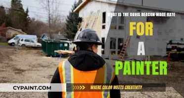 Exploring the Davis-Bacon Wage Rate for Painters: A Comprehensive Guide