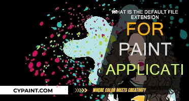 Paint App: Default File Extension Explained