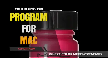 Discover Mac's Built-In Painting Tool: The Default Creative App