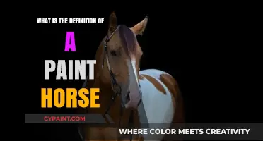 Understanding the Unique Characteristics of a Paint Horse Breed