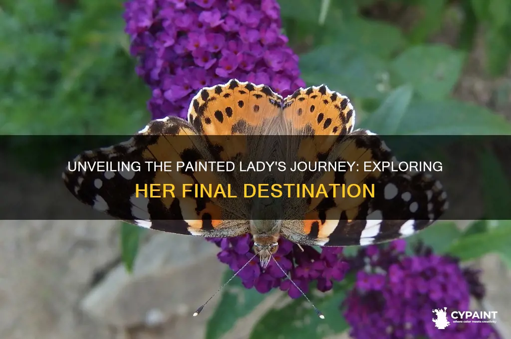 what is the destination of the painted lady