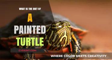 Exploring the Natural Diet of Painted Turtles in the Wild