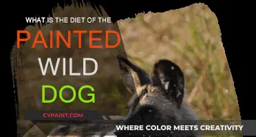 Wild Dog Diet: Meat-Only Menu for Painted Hunters