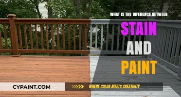 Stain vs. Paint: Key Differences and Best Uses Explained