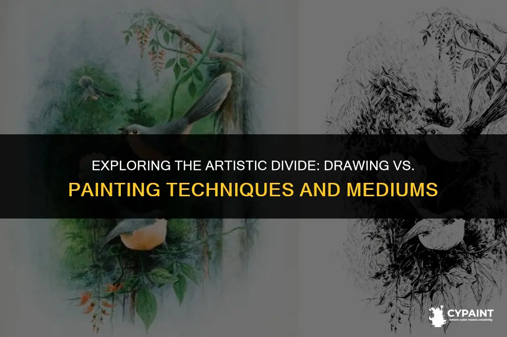 what is the difference between a drawing and a painting