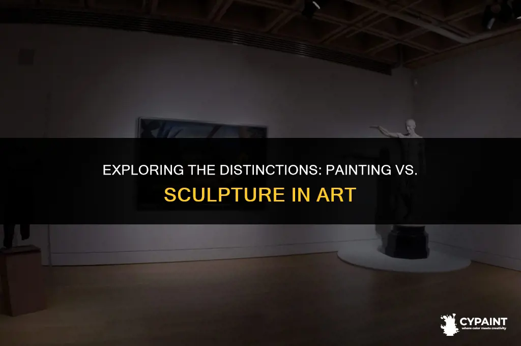 what is the difference between a painting and a sculpture