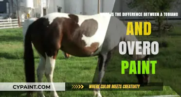 Exploring the Unique Patterns of Tobiano and Overo Paint Horses