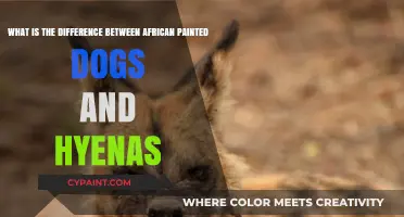 Exploring the Unique Traits: African Painted Dogs vs. Hyenas