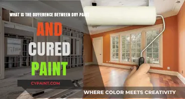 Understanding the Key Differences Between Dry and Cured Paint
