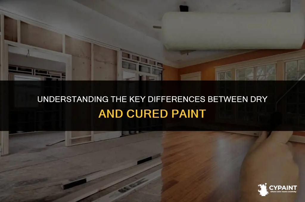 what is the difference between dry paint and cured paint