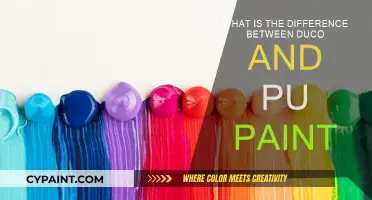 Duco vs PU Paint: Exploring the Differences