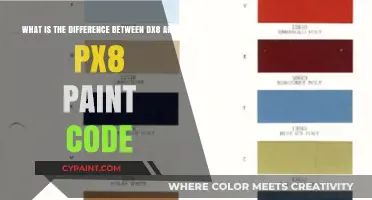 Decoding Paint Codes: Understanding the Difference Between DX8 and PX8