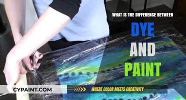 Dye vs. Paint: Understanding the Key Differences and Uses