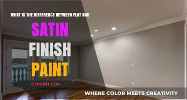 Exploring Paint Finishes: Flat vs. Satin - Which is Right for You?