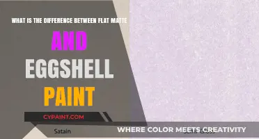 Exploring Paint Finishes: Flat Matte vs. Eggshell - What's the Difference?