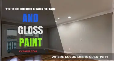 Unveiling the Secrets: Flat Satin vs. Gloss Paint Showdown
