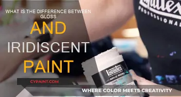 Gloss vs. Iridescent Paint: Understanding the Unique Finishes