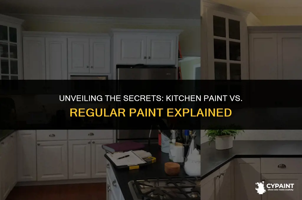 what is the difference between kitchen paint and normal paint