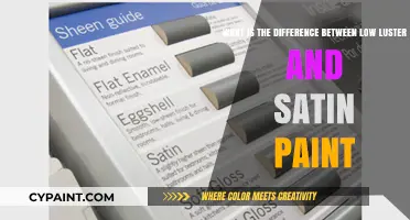 Unveiling the Subtle Sheen: Low Luster vs Satin Paint