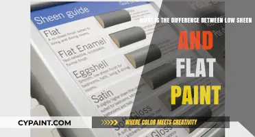 Exploring Paint Finishes: Low Sheen vs. Flat Paint