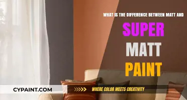 Unveiling the Secrets: Matt vs. Super Matt Paint Showdown