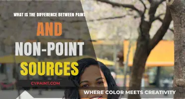 Understanding Pollution: Paint vs. Non-Point Sources Explained